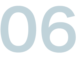 06